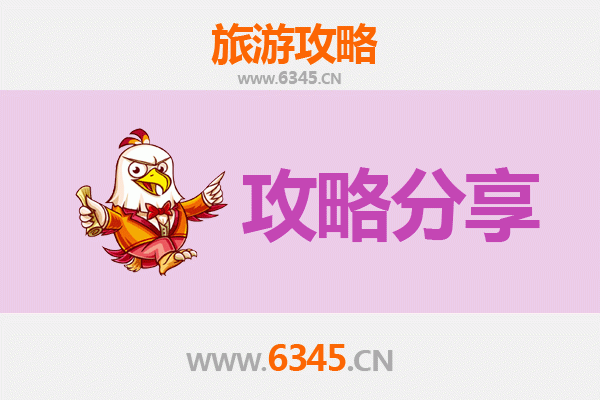 济宁鱼台至湄洲岛旅游攻略：跟团还是自由行？资深博主深度解析